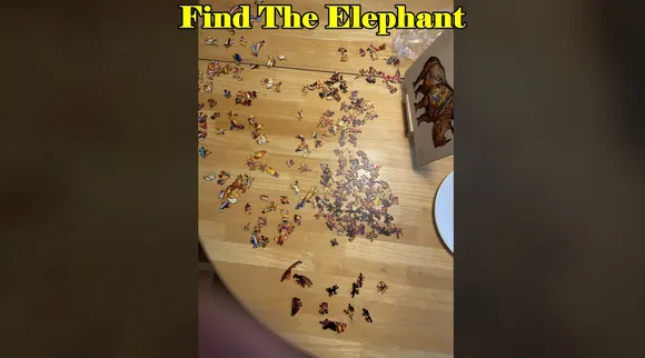 Elephant toy