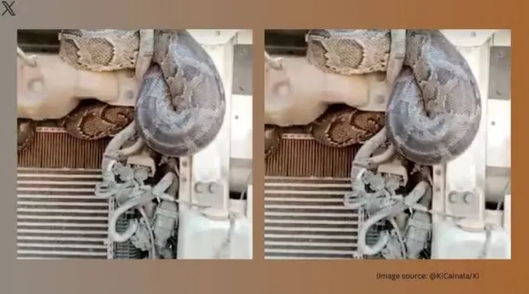 python inside truck