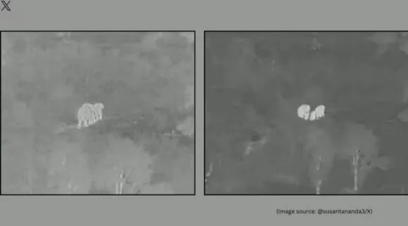 AI Camera saves elephant herd