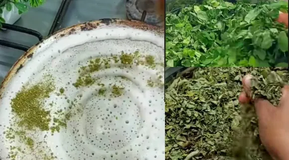 முருங்கை இலை பொடி