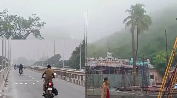 mist             