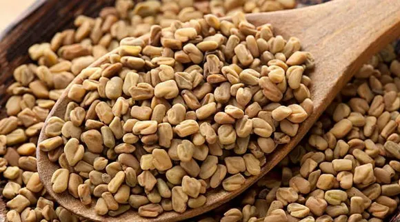 Fenugreek