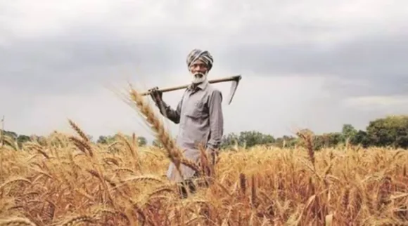 pm kissan wheat farmer