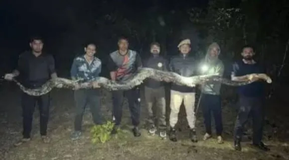 python