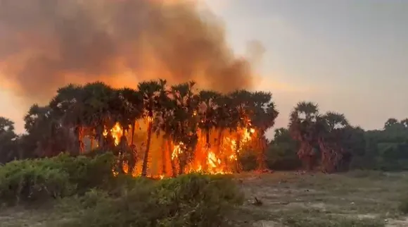 fire