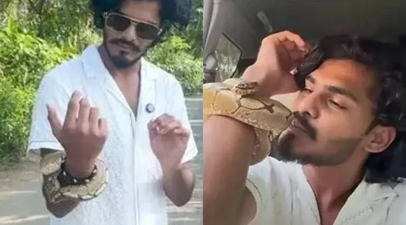 ttf vasan python