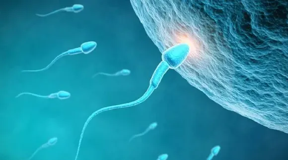 Sperm count