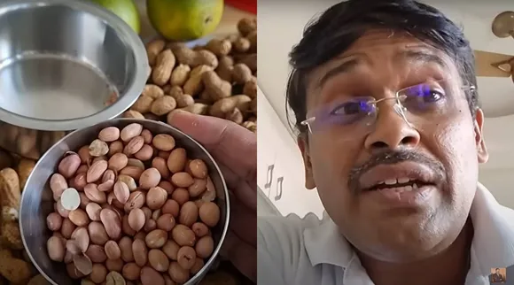 groundnut