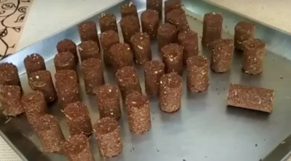 Homemade sampirani