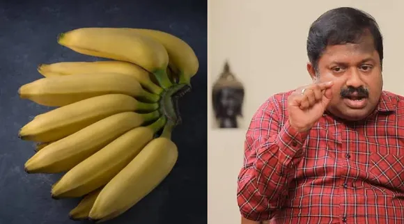 Fruit