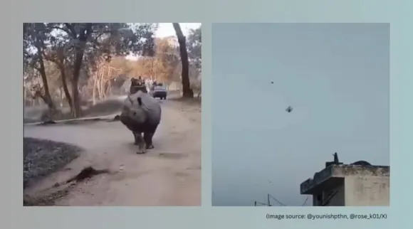 viral videos