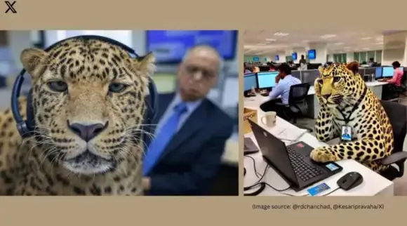 Infosys Leopard memes