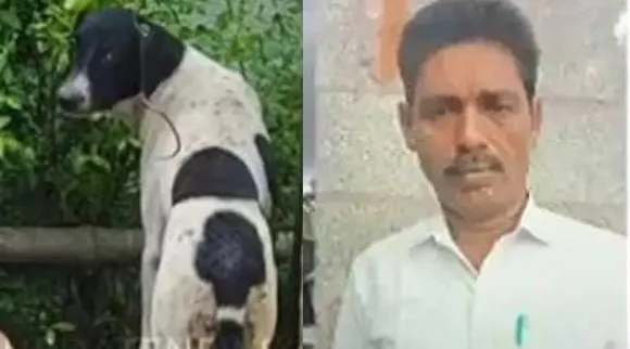 Trichy Dog upda