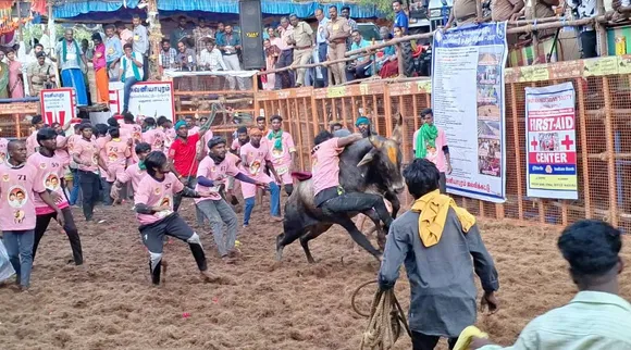 Jallikattu (1)