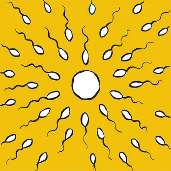sperm