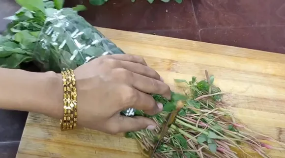 Spinach hack