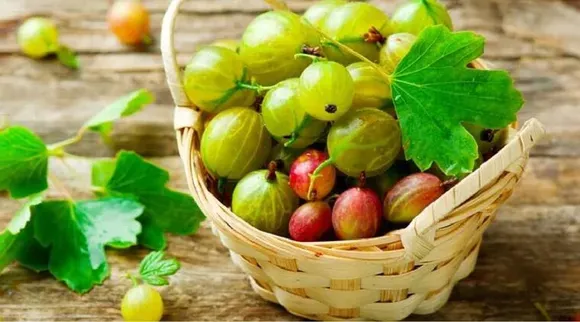 Gooseberries