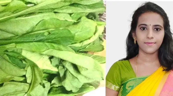 Radish Greens