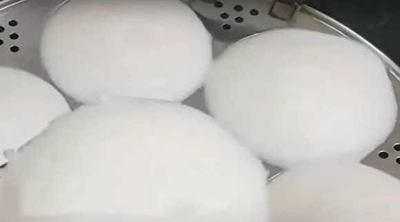 soft idli x