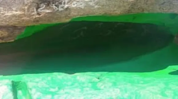Madurai green paint on the ancient Jain caves Thiruparankundram removed by archaeology officials Tamil News