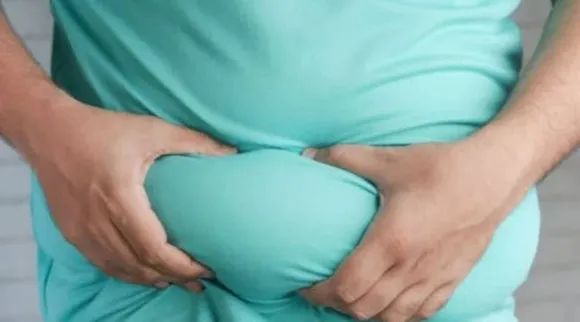belly fat 2