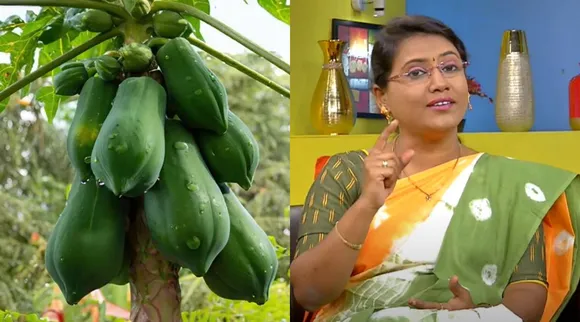Papaya kaai