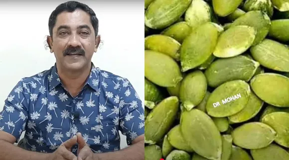 dr mohan pumpkin seed