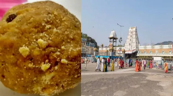 tirupathi ladoo