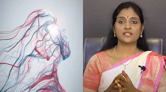 nerves 