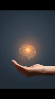 brain