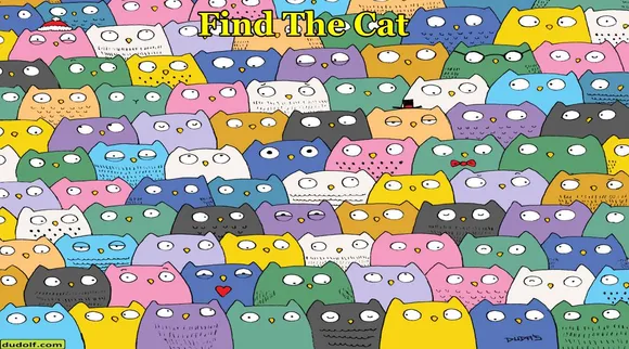 Cat among Ow