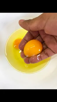 egg