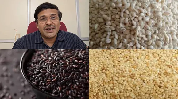 rice dr karthikeyan 2