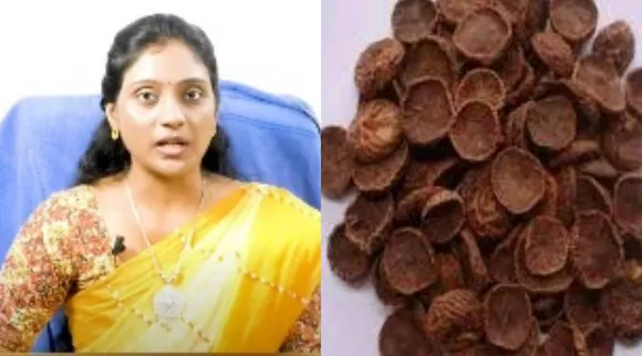 kottai paakku dr nithya