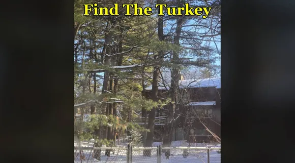 Tukey