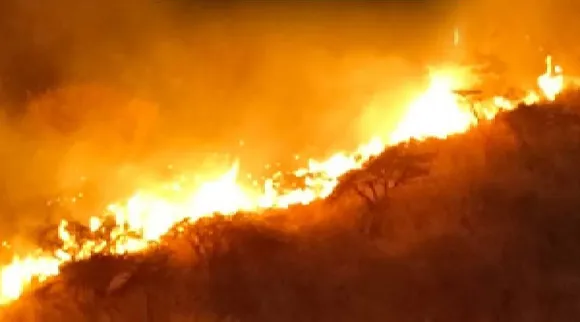 Fire at western ghats