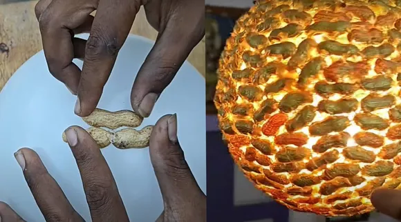 Ground nut peel