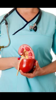 kidney