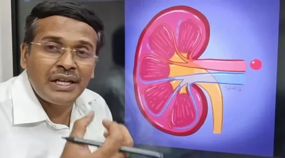 கிட்னி செயல்பாடு