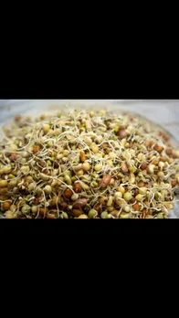 sprouts