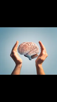 brain