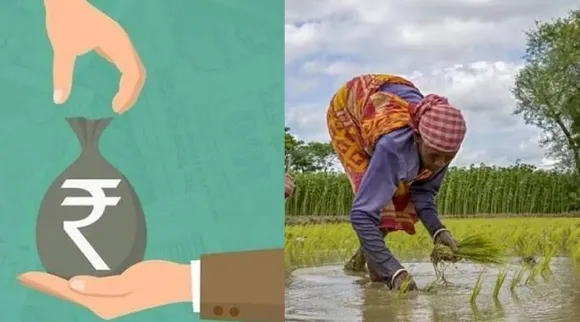 PM Kisan 19
