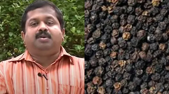 sivaraman pepper