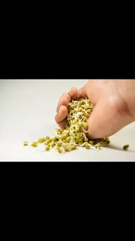 sprouts