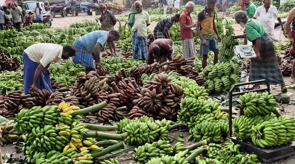 banana