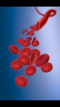 blood