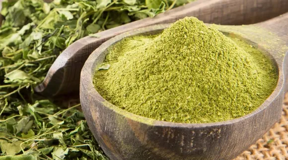 Moringa leaves powder