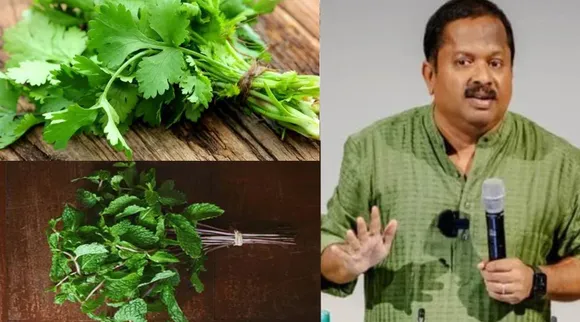 புதினா கொத்தமல்லி