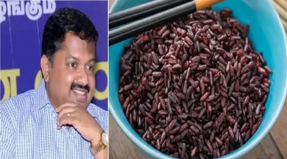 கருப்பு கவுனி