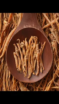 ginseng